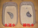 天ぷらの衣