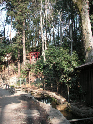 お鷹の道・真姿の池湧水群