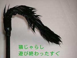 べとべと猫じゃらし・・・